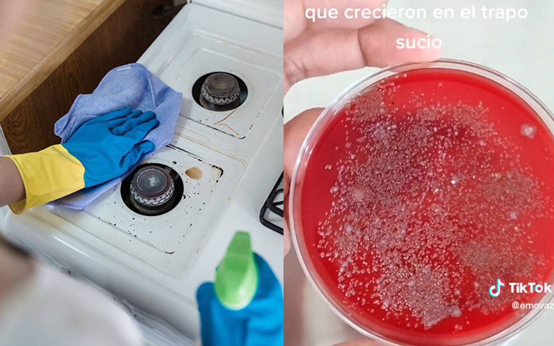 https://www.elsoldecordoba.com.mx/doble-via/ciencia/hgrmys-bacterias-en-los-trapos-de-cocina/ALTERNATES/LANDSCAPE_1140/Bacterias-en-los-trapos-de-cocina