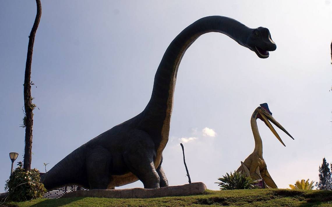 Parque de los Dinosaurios, mágico atractivo familiar - El Sol de Córdoba |  Noticias Locales, Policiacas, sobre México, Veracruz y el Mundo
