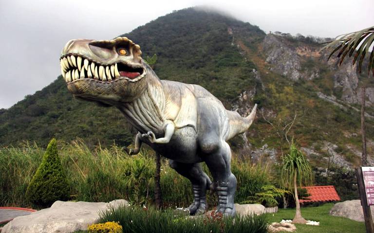 Parque de los Dinosaurios, mágico atractivo familiar - El Sol de Córdoba |  Noticias Locales, Policiacas, sobre México, Veracruz y el Mundo
