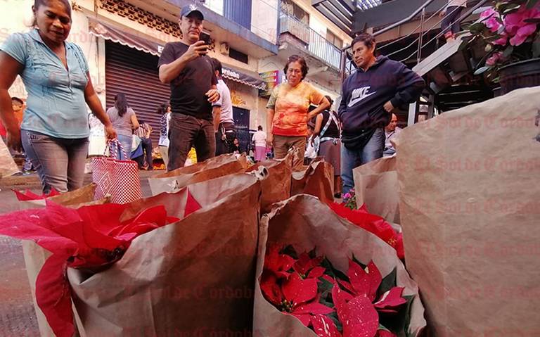 Reportan como lenta la venta de flor de Noche Buena córdoba comercio  veracruz - El Sol de Córdoba | Noticias Locales, Policiacas, sobre México,  Veracruz y el Mundo